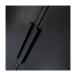 WOOOD Industriele Kasten|Kledingkasten|Adam 2-deurs Kledingkast grenen zwart 100cm