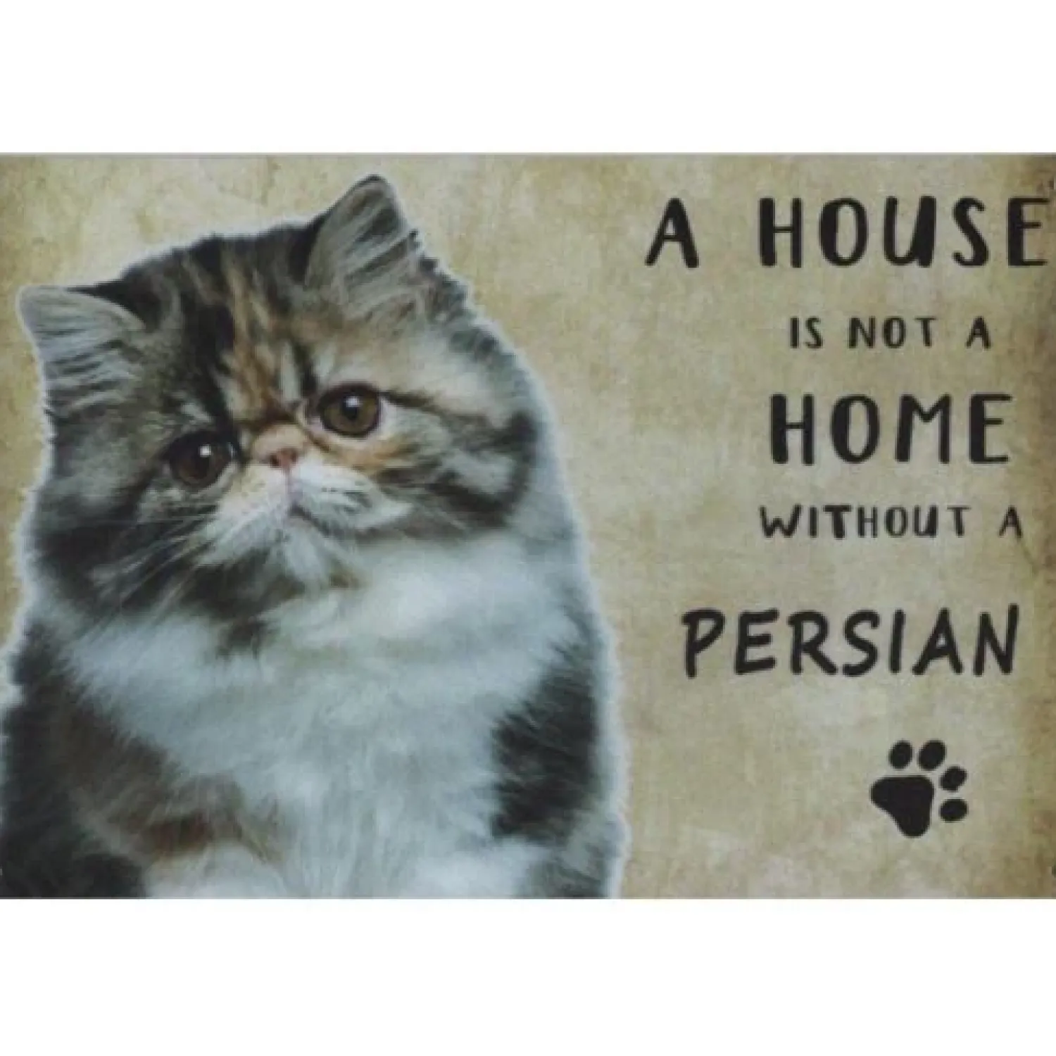 Cavetown Metalen Borden|A home Persian Cat - metalen bord