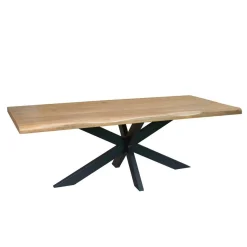 Furndea Eettafels|Alaska Boomstamtafel Mangohout 200cm