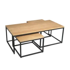 Furndea Salontafels|Alaska Salontafel Set van 3 rechthoekig Mangohout 120cm
