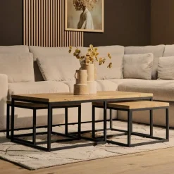 Furndea Salontafels|Alaska Salontafel Set van 3 rechthoekig Mangohout 120cm