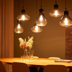 Trading Lighting Hanglampen|Glazen Hanglamp|Demeter Hanglamp 6-lichts glas E27