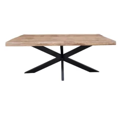 Furndea Eettafels|Devi eettafel boomstam mangohout 240cm