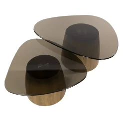 Kalfort Salontafels|Dominick Salontafel set van 2 driehoekig Brons glas