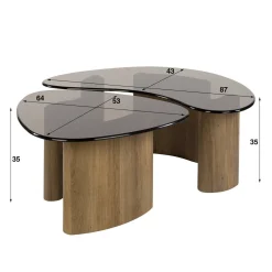 Kalfort Salontafels|Dominick Salontafel set van 2 organisch Brons glas