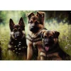 Cavetown Metalen Borden|Duitse Herdershond Puppy’s - metalen bord