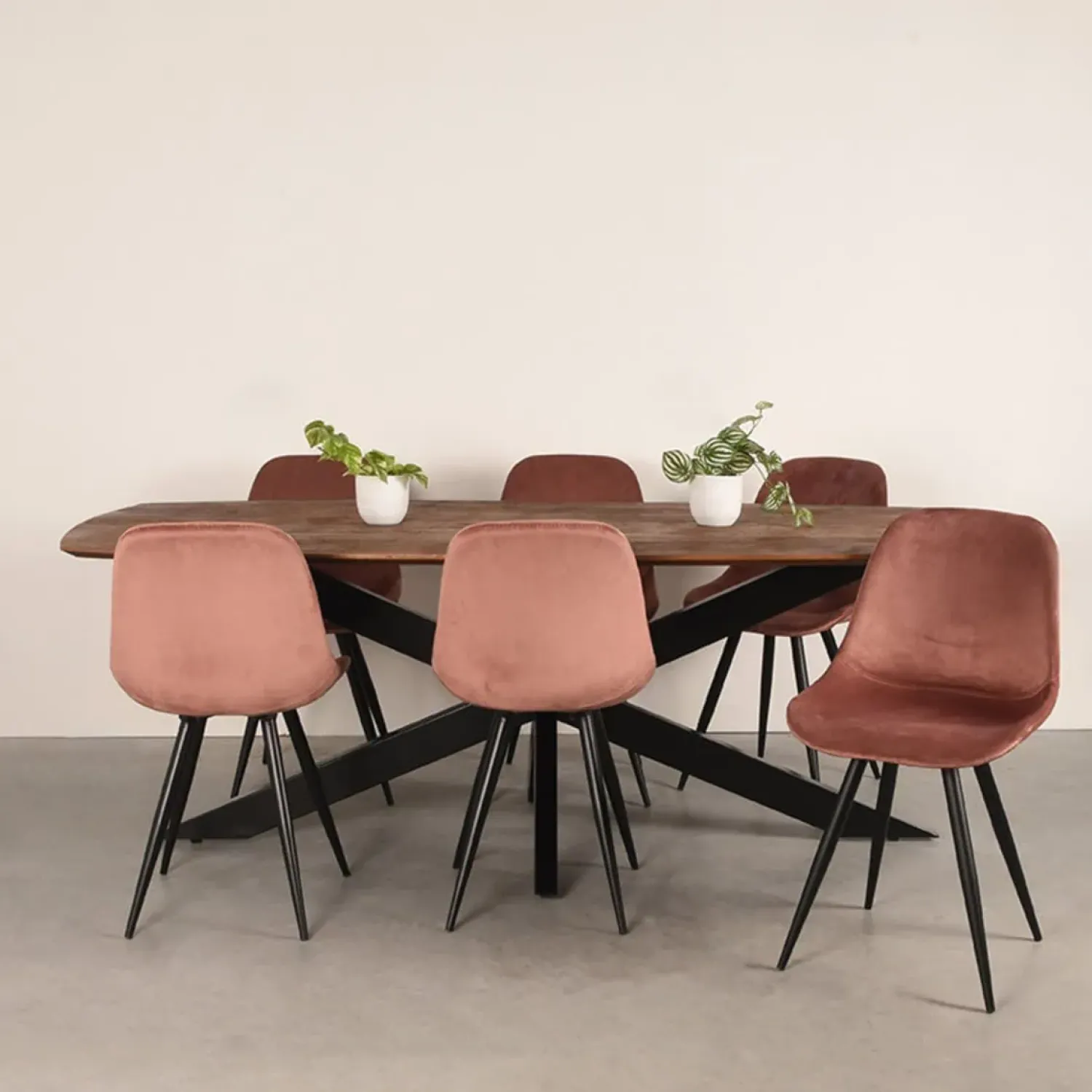 Label51 Eettafels|Eetkamertafel Zane Espresso Mangohout