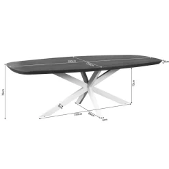 Furndea Eettafels|Eettafel Martin Deens ovaal Walnoot Zwarte poot 280cm