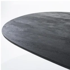 Eleonora Eettafels|eettafel Aron ovaal 250×110 zwart