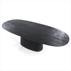 Eleonora Eettafels|eettafel Aron ovaal 300×110 zwart