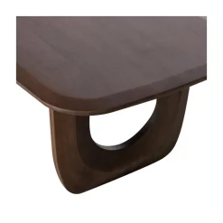 WOOOD Salontafels|Frequent Salontafel mango walnoot 120cm