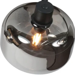 Steinmex Plafondlampen|Gabriella 2-lichts Plafondlamp Smoke Glas