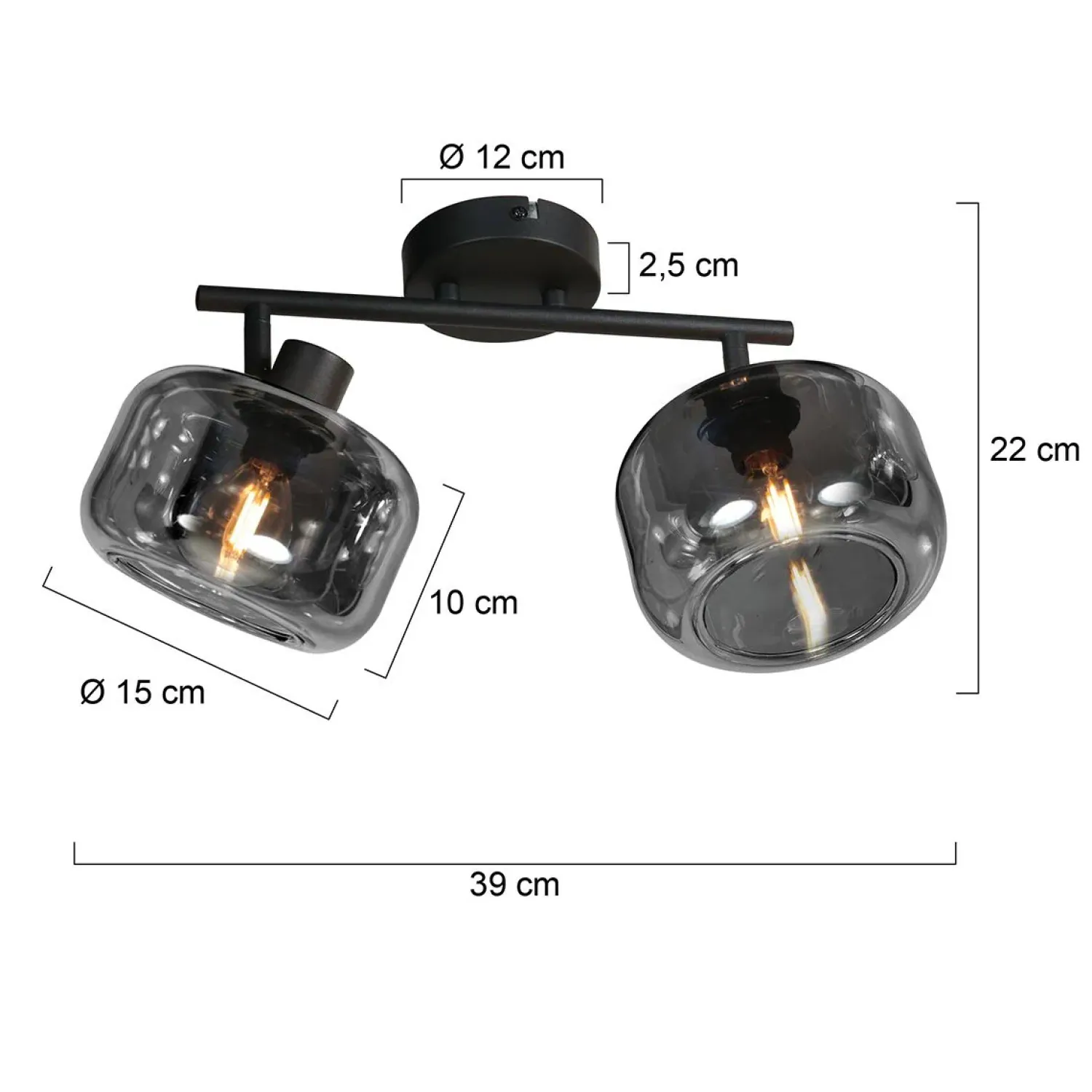 Steinmex Plafondlampen|Gabriella 2-lichts Plafondlamp Smoke Glas