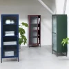 LykkeHome Boekenkasten|Vakkenkasten|Gulltop vitrinekast rood metaal 160cm