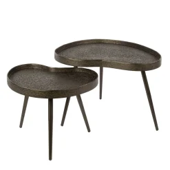 Kalfort Salontafels|Kyra Salontafel set van 2 niervormig Brons