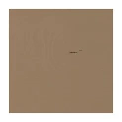WOOOD Wandkasten|Industriele Kasten|Lowen Opbergkast Dennenhout Mud 100cm