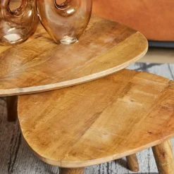 Furndea Salontafels|Mano salontafel set van 2