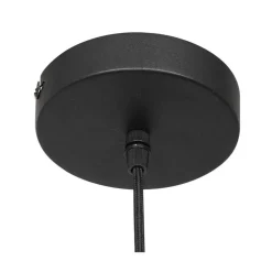 Steinmex Hanglampen|Glazen Hanglamp|Maya 1-lichts Hanglamp 30cm Smoke