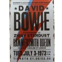 Metal Signs Metalen Borden|metalen bord David Bowie