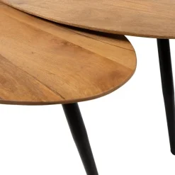 Mysons Salontafels|Morella Salontafel set van 2 organisch Mangohout