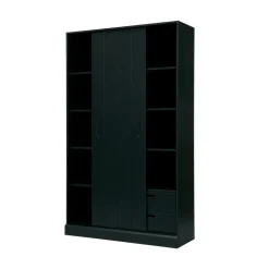 WOOOD Wandkasten|Industriele Kasten|Move Schuifdeurkast Dennenhout Matzwart 120cm