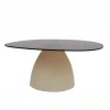 Livingfurn Salontafels|Mylon organische Salontafel Glas 86cm
