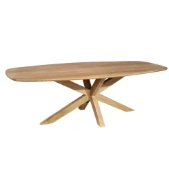 Furndea Eettafels|Nicole Eettafel Deens ovaal Mangohout 210 cm