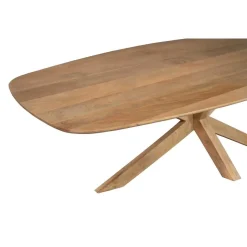Furndea Eettafels|Nicole Eettafel Deens ovaal Mangohout 240 cm