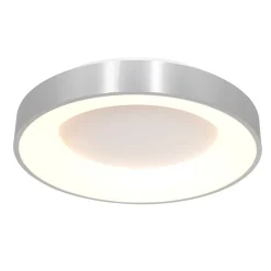 Steinmex Plafondlampen|Plafonnieres|Plafonniere Ringlede zilver large 48cm