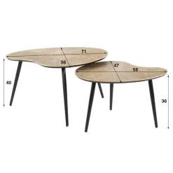 Kalfort Salontafels|Rivo Salontafel set van 2 Niervorm Brons