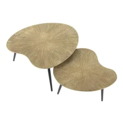 Kalfort Salontafels|Rivo Salontafel set van 2 Niervorm Brons