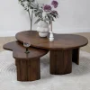 Vane Living Salontafels|Salontafel Asger set van 2 walnoot 110/70cm