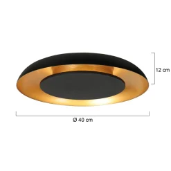 Steinmex Plafondlampen|Sean 2-lichts Plafondlamp Zwart|Goud Metaal