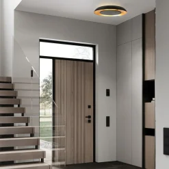 Steinmex Plafondlampen|Sean 2-lichts Plafondlamp Zwart|Goud Metaal