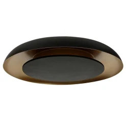 Steinmex Plafondlampen|Sean 2-lichts Plafondlamp Zwart|Goud Metaal