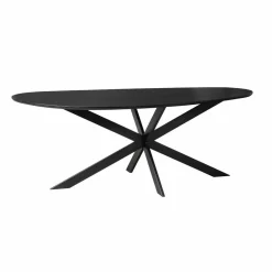 Furndea Eettafels|Shane Eettafel Organisch Zwart Eikenhout 280cm