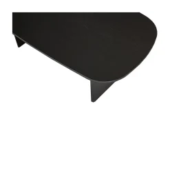 WOOOD Salontafels|Tablo Salontafel organisch Eikenhout zwart 110cm