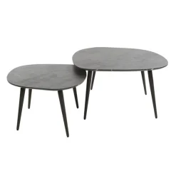 Kalfort Salontafels|Tate Salontafel set van 2 Organisch zwart