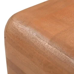 Furndea Bijzettafels|Teun Bijzettafel Mangohout 45 cm