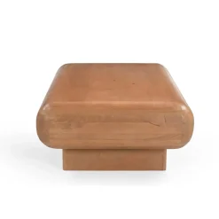 Furndea Salontafels|Teun Salontafel rechthoek Mangohout 120 cm