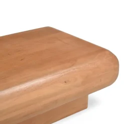 Furndea Salontafels|Teun Salontafel rechthoek Mangohout 120 cm
