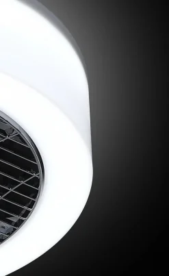 Trading Lighting Plafondlampen|Plafonnieres|The Fan no. 5 Plafondventilator/lamp antraciet - opal
