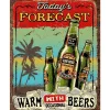 Metal Signs Metalen Borden|Todays forecast Beers metalen bord