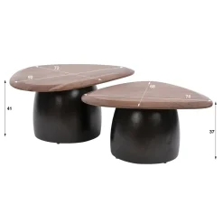 Kalfort Salontafels|Vero Salontafel set van 2 organisch Acaciahout